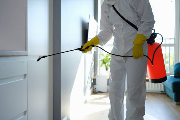 Mold Odor Removal Services in Pine Ridge At Crestwood, NJ