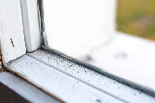 Reliable Pine Ridge At Crestwood, NJ Mold Removal Solutions